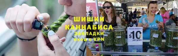 прущие грибы Тавда