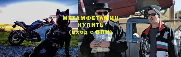 дмт Тайга
