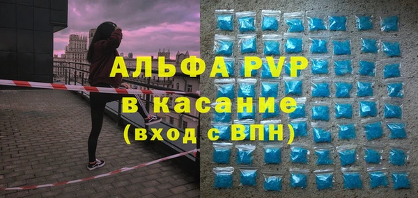 индика Ступино