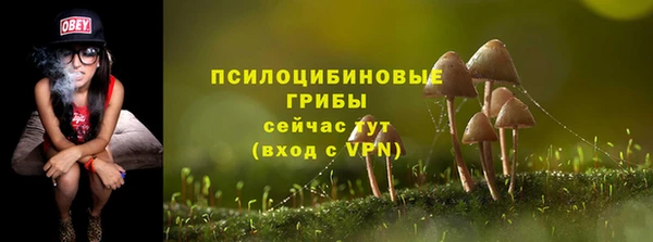 mdpv Сясьстрой
