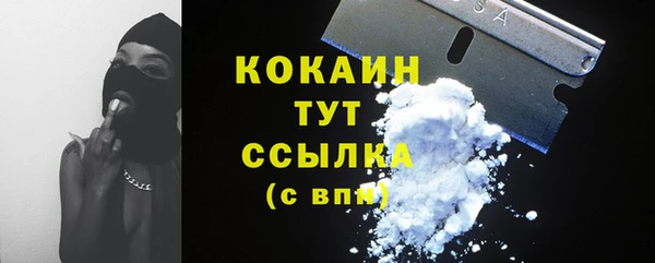дмт Тайга