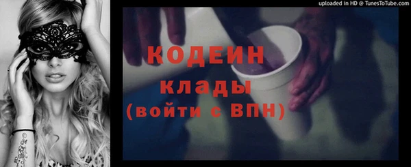 индика Ступино