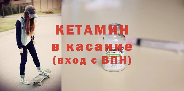 прущие грибы Тавда