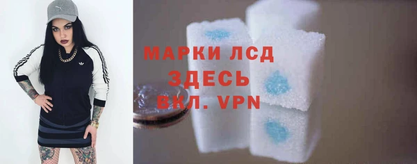 индика Ступино