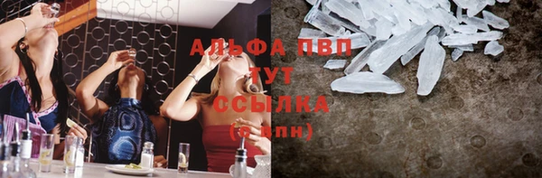 дмт Тайга