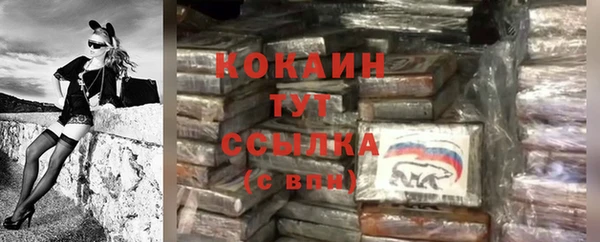 дживик Струнино