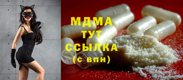 прущие грибы Тавда